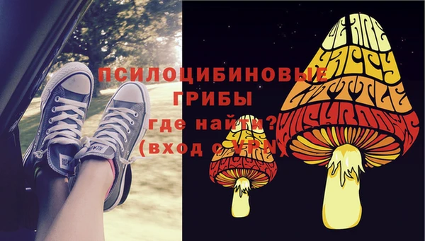 крисы Балахна