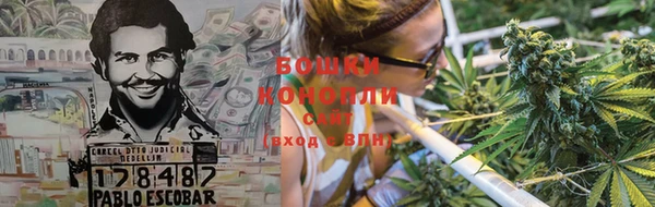 шишки Балабаново